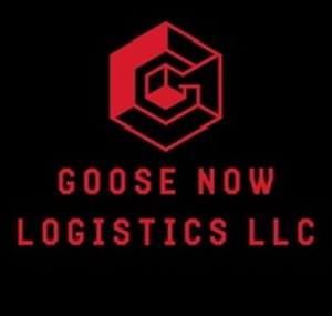 Goose Now Logistics LLC